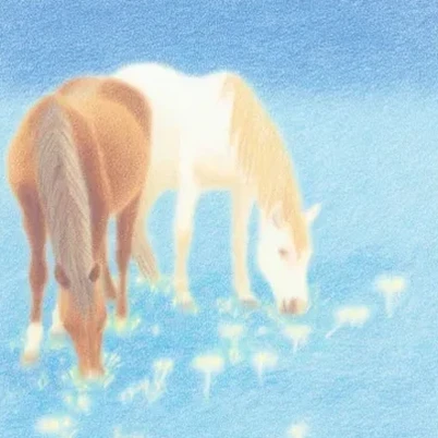 Screenshot from u/Trumpcan